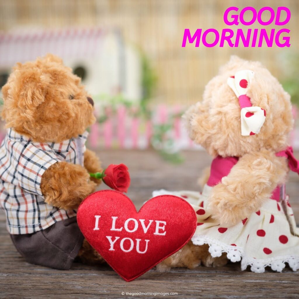 Good Morning Love Teddy Images i love you