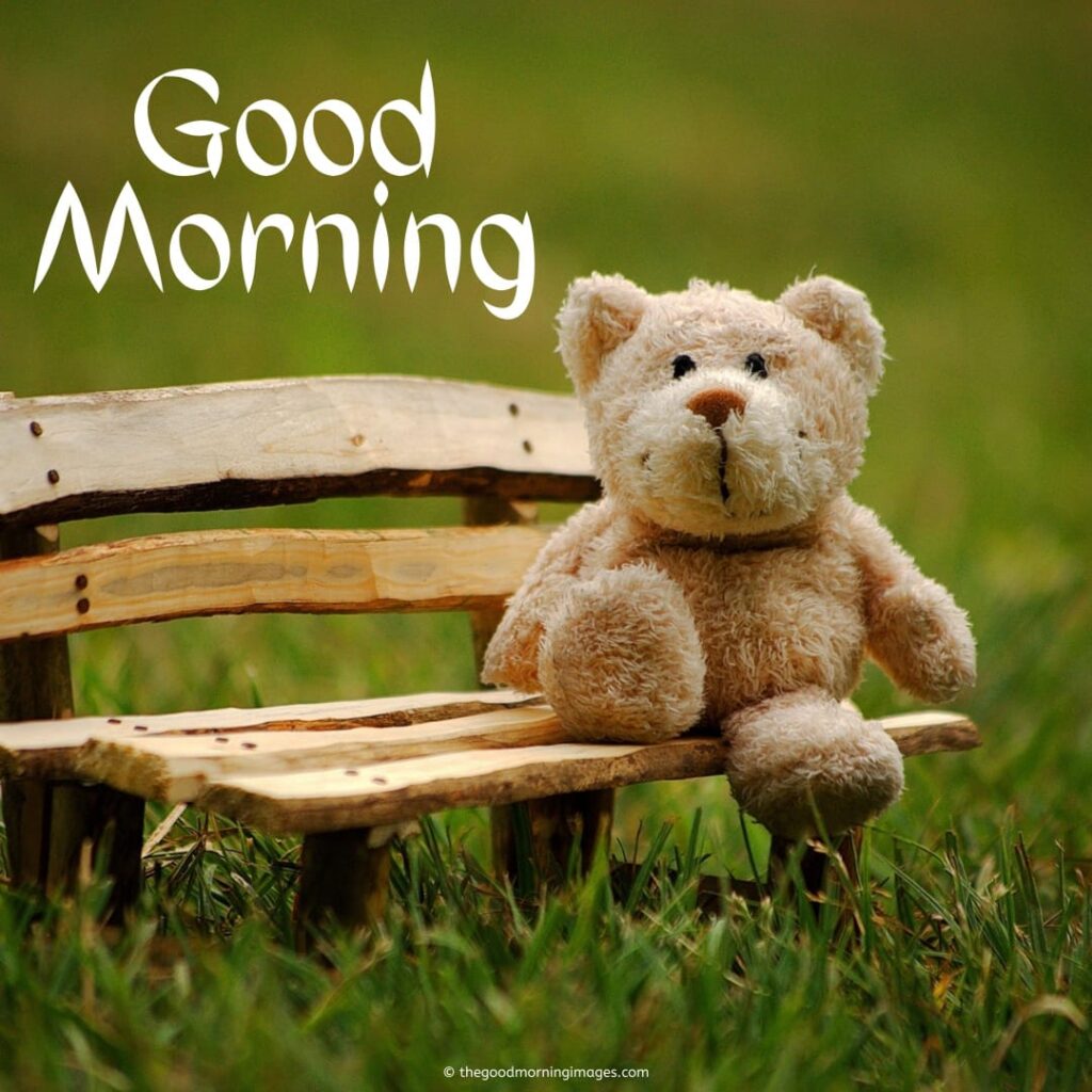 good morning teddy pictures