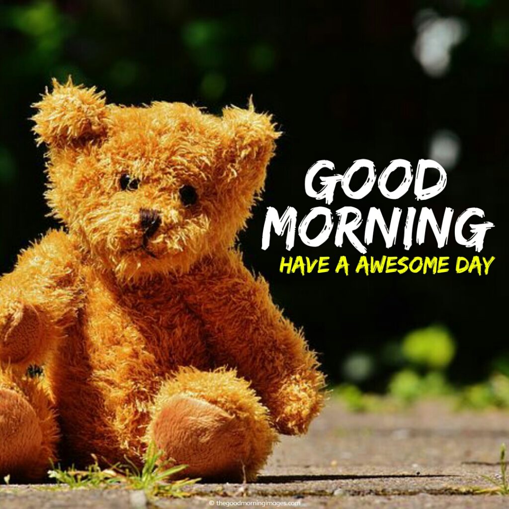 good mrng teddy bear images