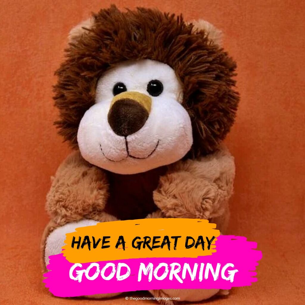 good mrng teddy bear photos