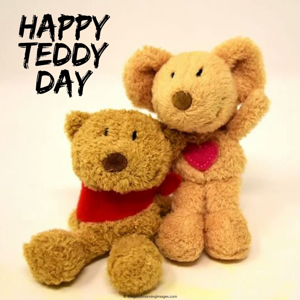 happy teddy day gift