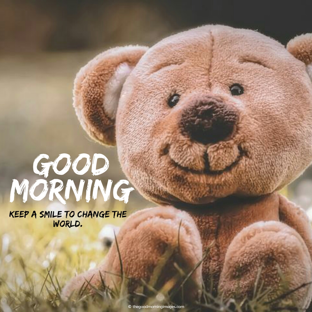 120 Sweet Good Morning Teddy Bear Images A To Z 0251