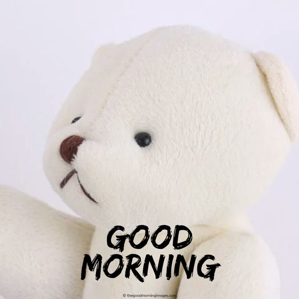 teddy bear good morning images