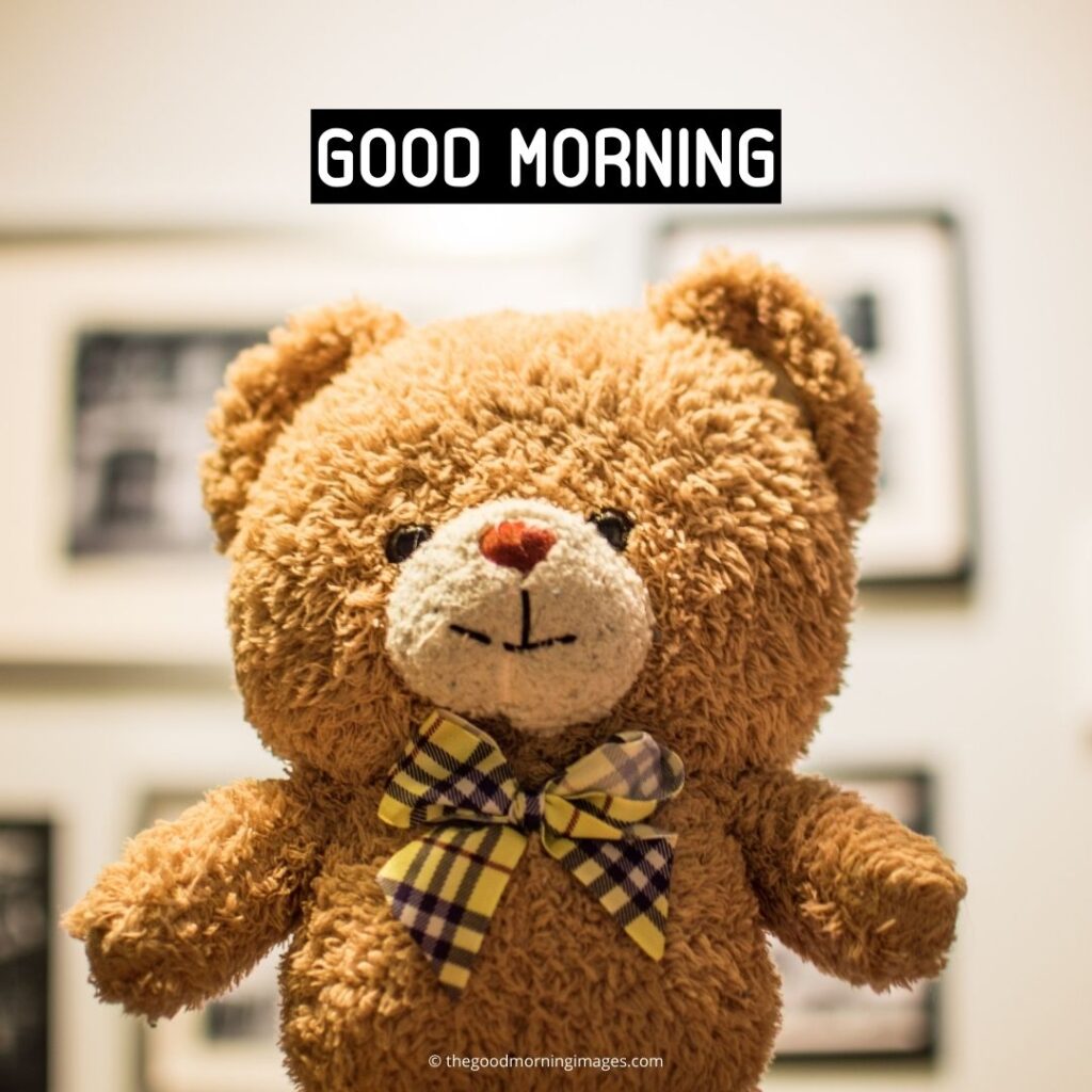 teddy bear good morning images