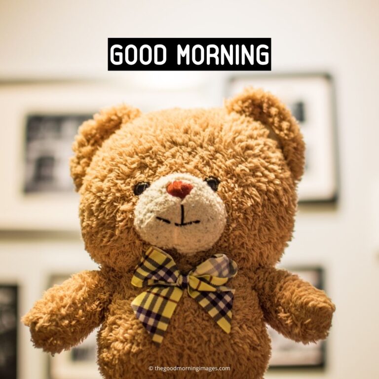 120+ Sweet Good Morning Teddy Bear Images | A To Z