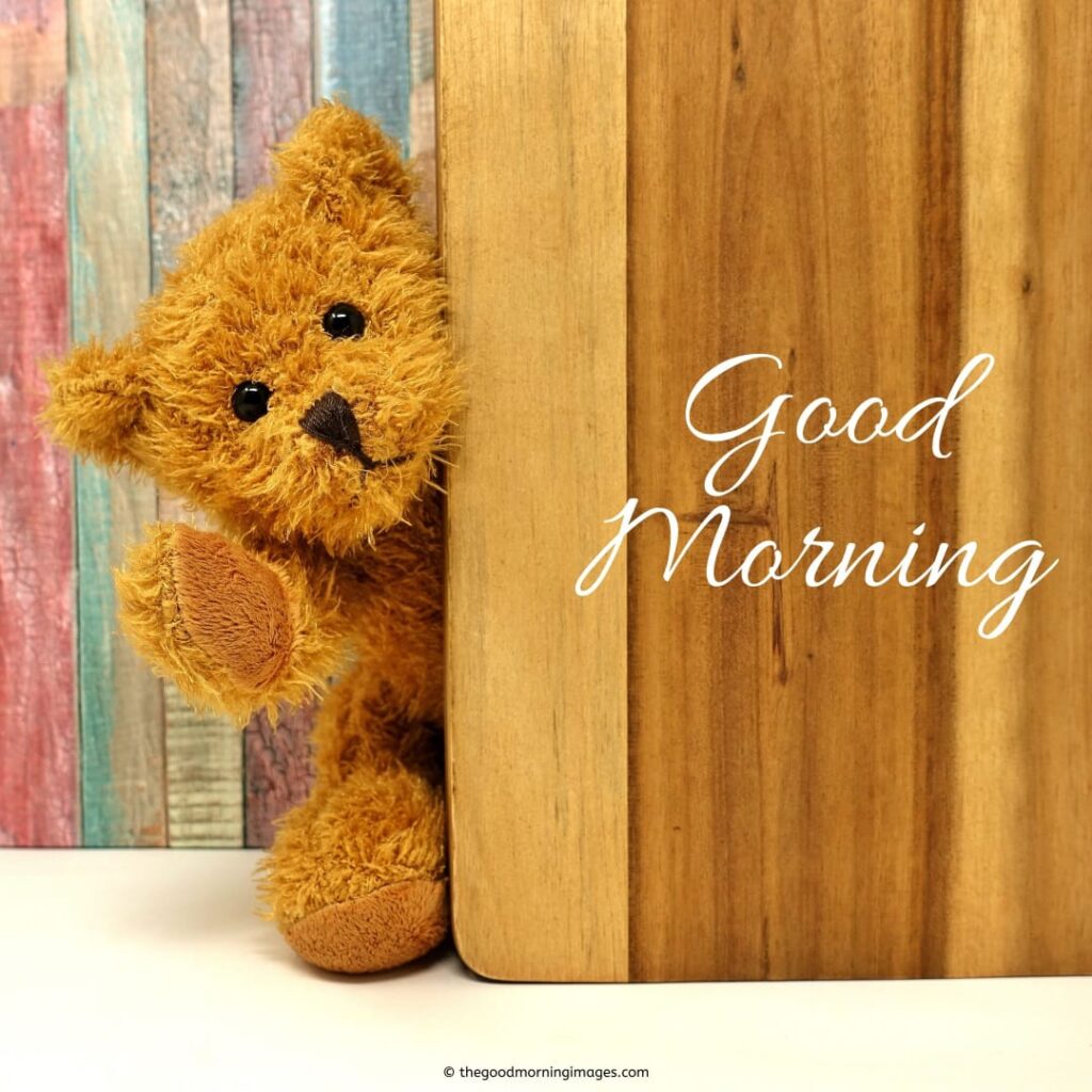 teddy bear good morning images