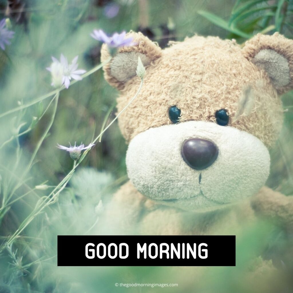 teddy bear good morning images