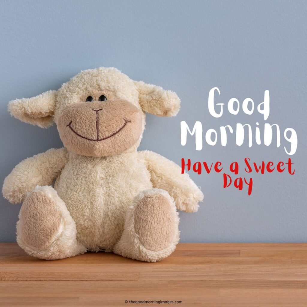 teddy bear good morning images funny