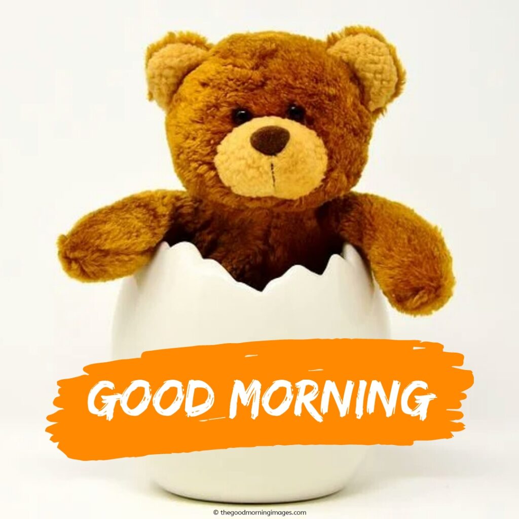 teddy bear good morning pics