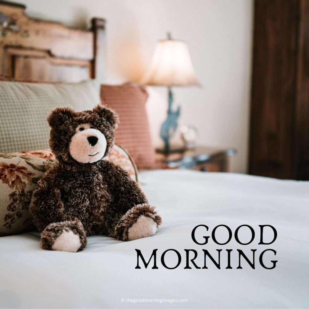 good morning teddy images