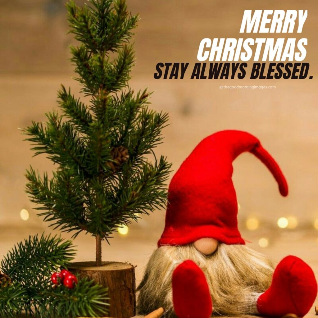Merry Christmas funny Santa clause Images
