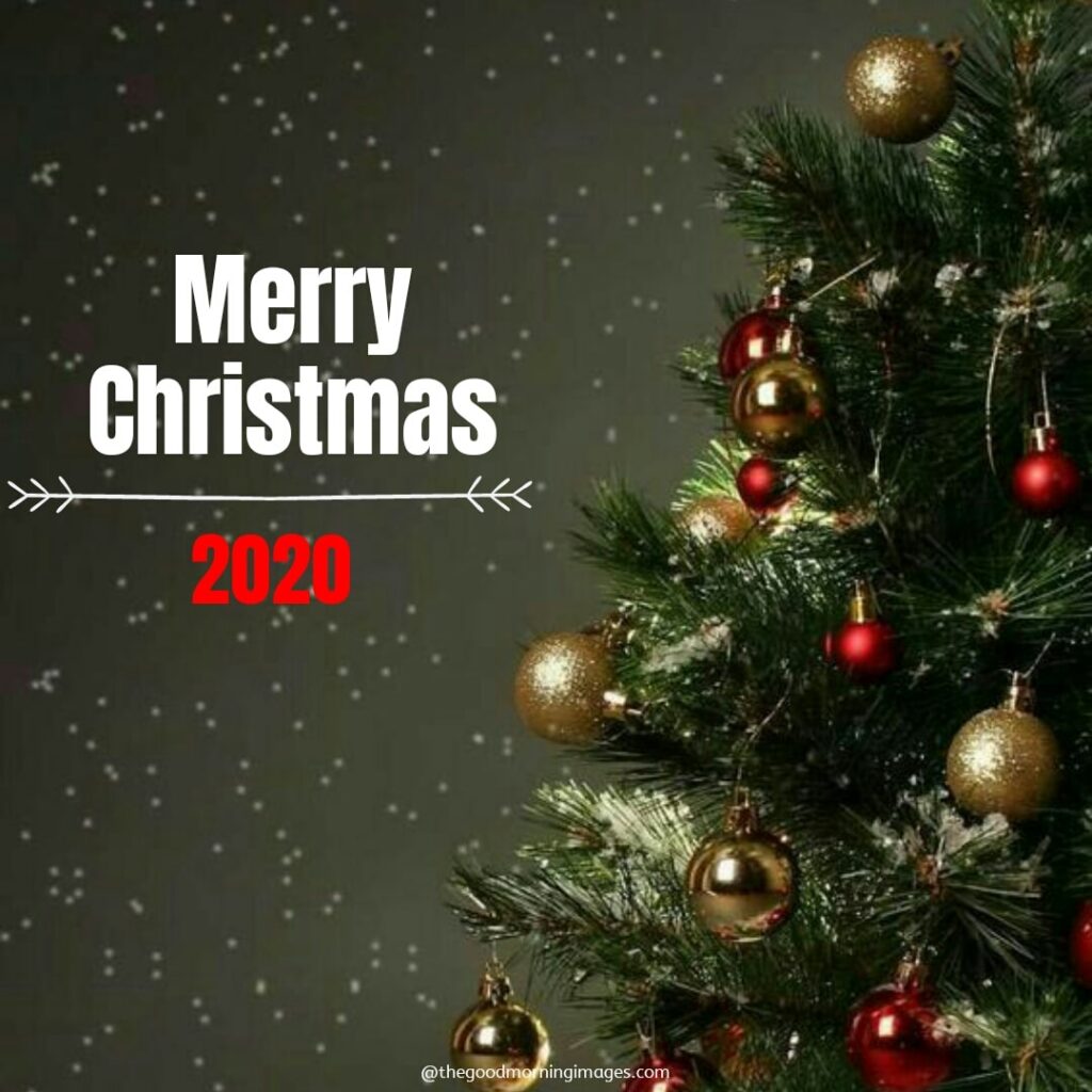 Happy Merry Christmas pics 2020