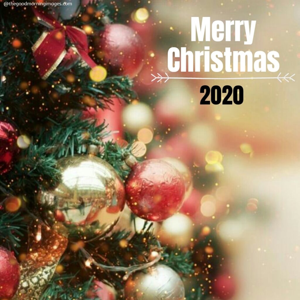 Merry Christmas photos 2020