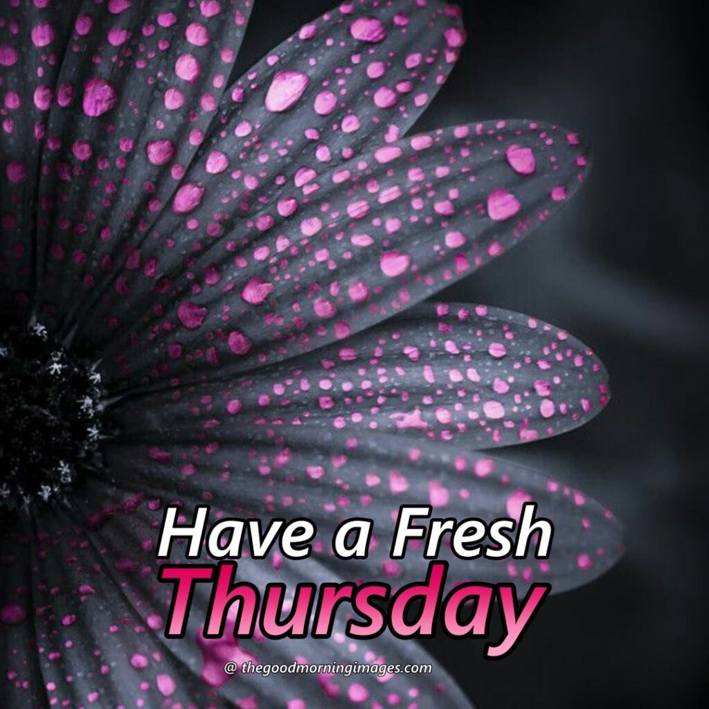 good morning Thursday pink images