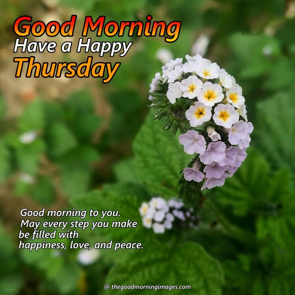 good morning thursday quotes