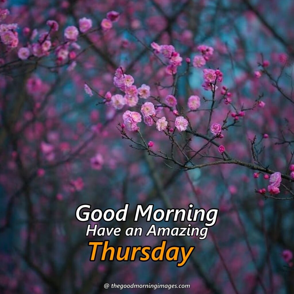 Thursday Good Morning Images