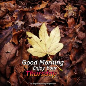 Best Good Morning Thursday Images | New Collection