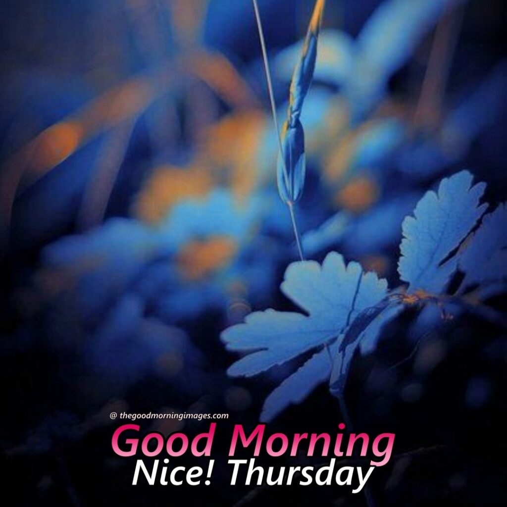 Good Morning Thursday pic