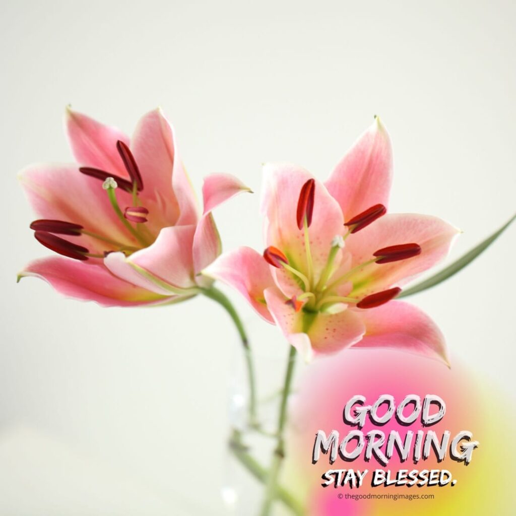 Good Morning Images with Flowers lilies