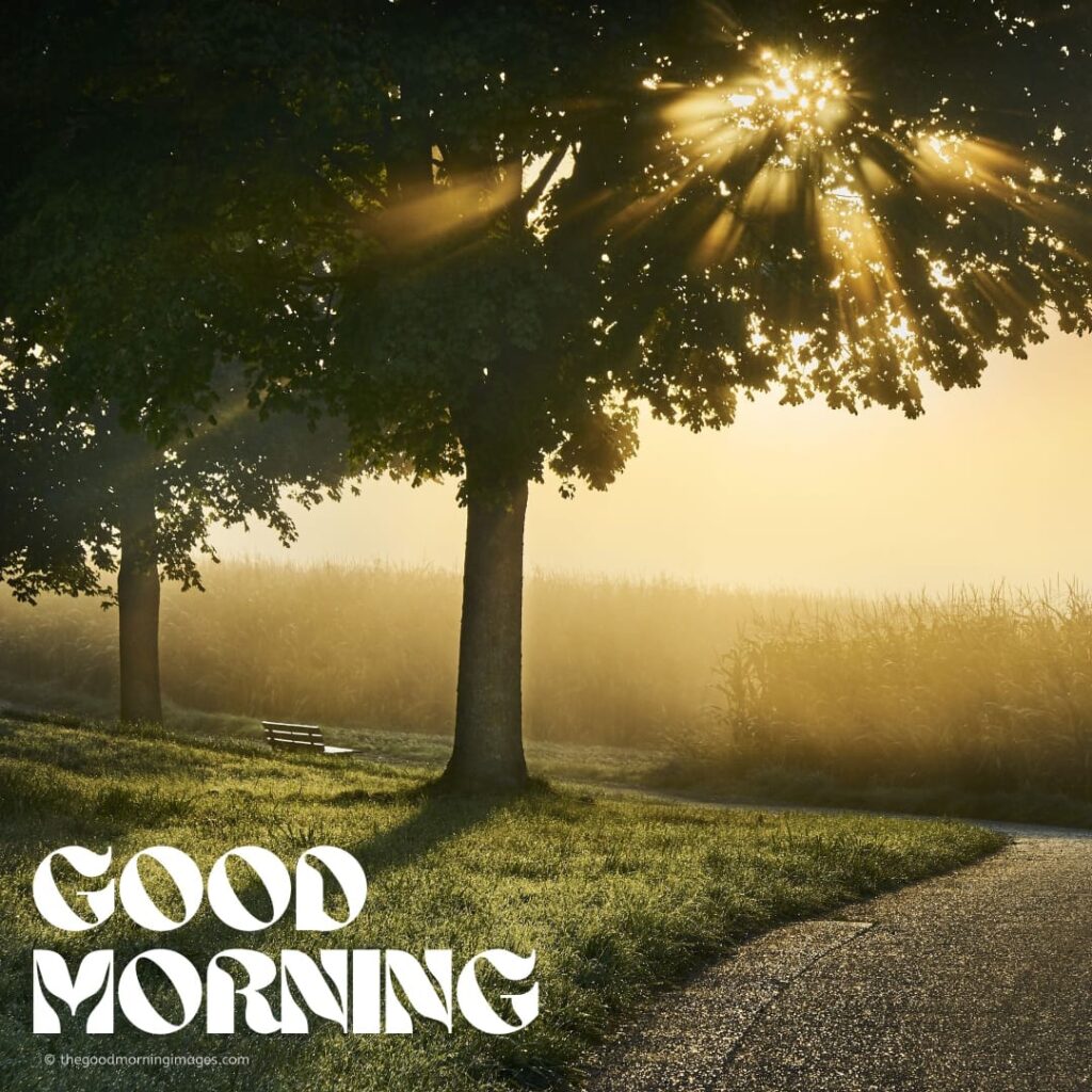 good morning images with nature hd