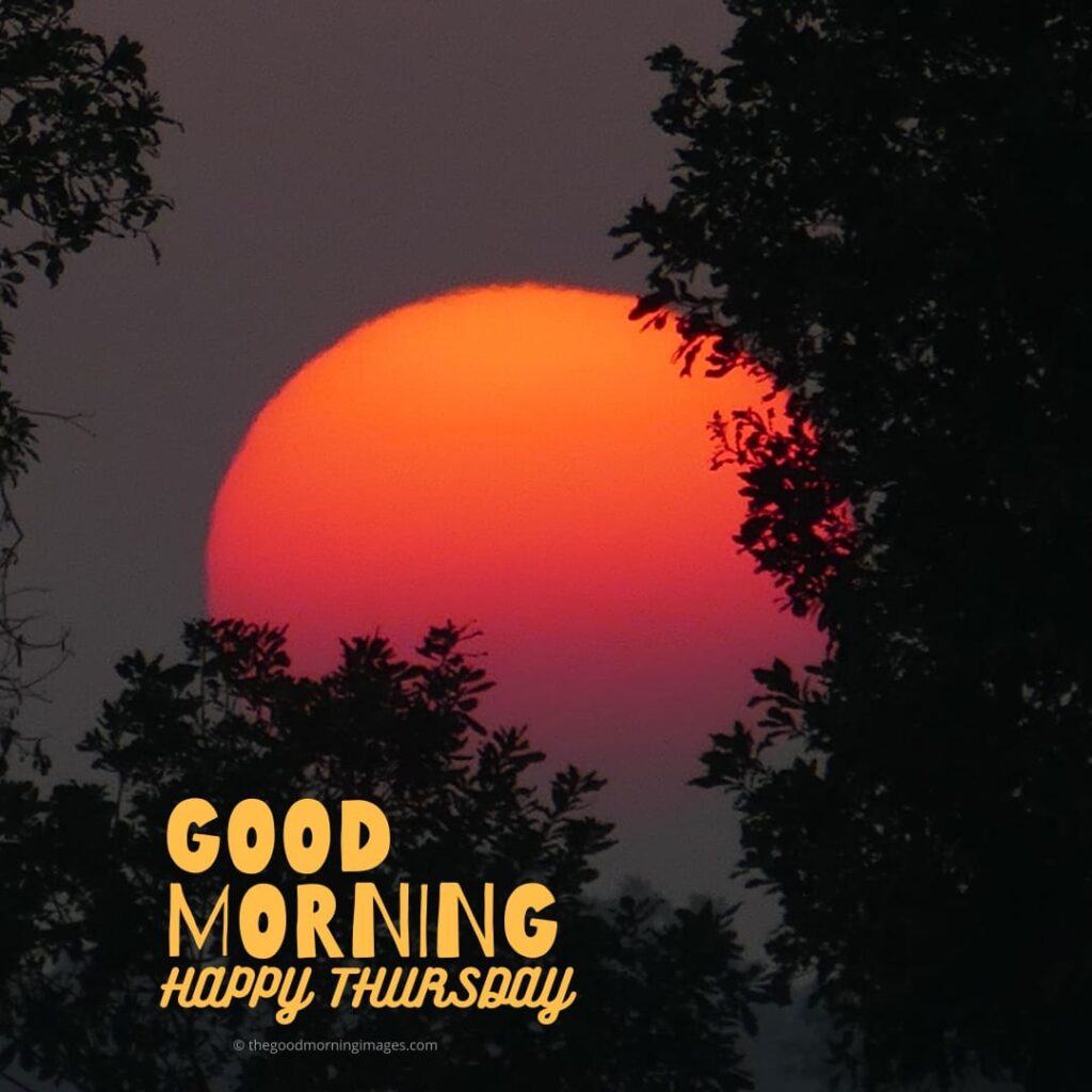 Good Morning Thursday Images with Sun