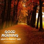 Beautiful Good Morning Fall Images, Pictures & Photos [2023]