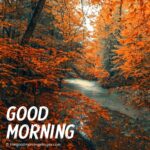 Beautiful Good Morning Fall Images, Pictures & Photos [2024]