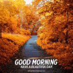 Beautiful Good Morning Fall Images, Pictures & Photos [2024]