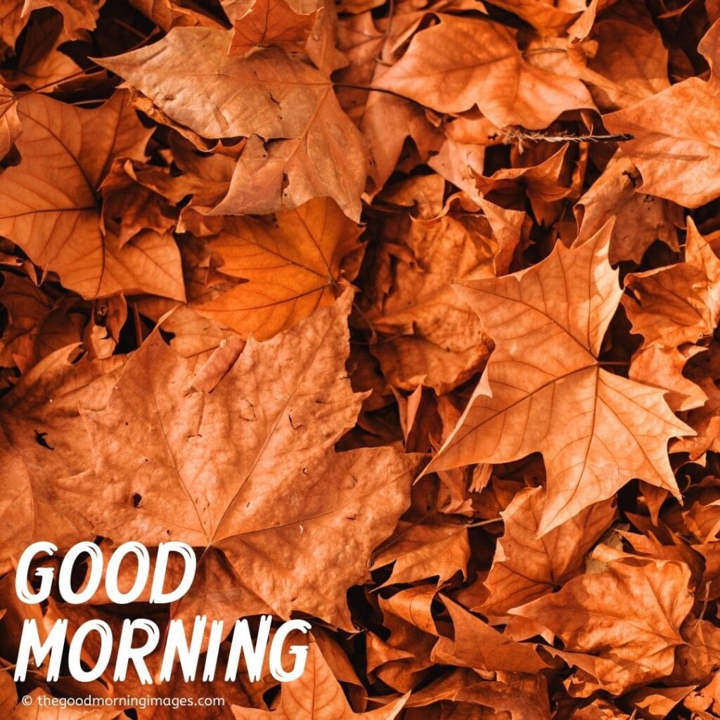 good morning fall images