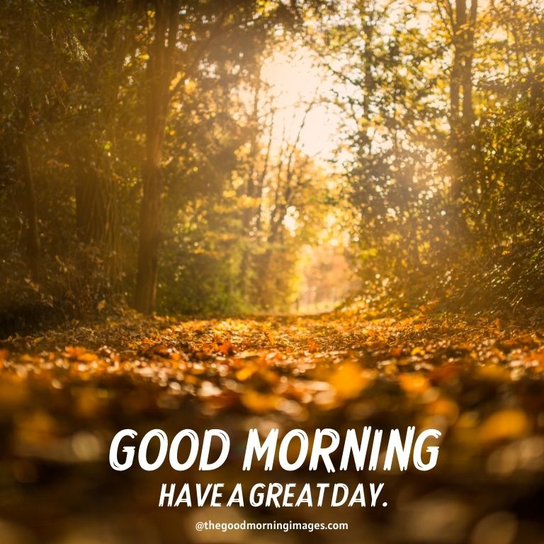 Beautiful Good Morning Fall Images Pictures And Photos 2021