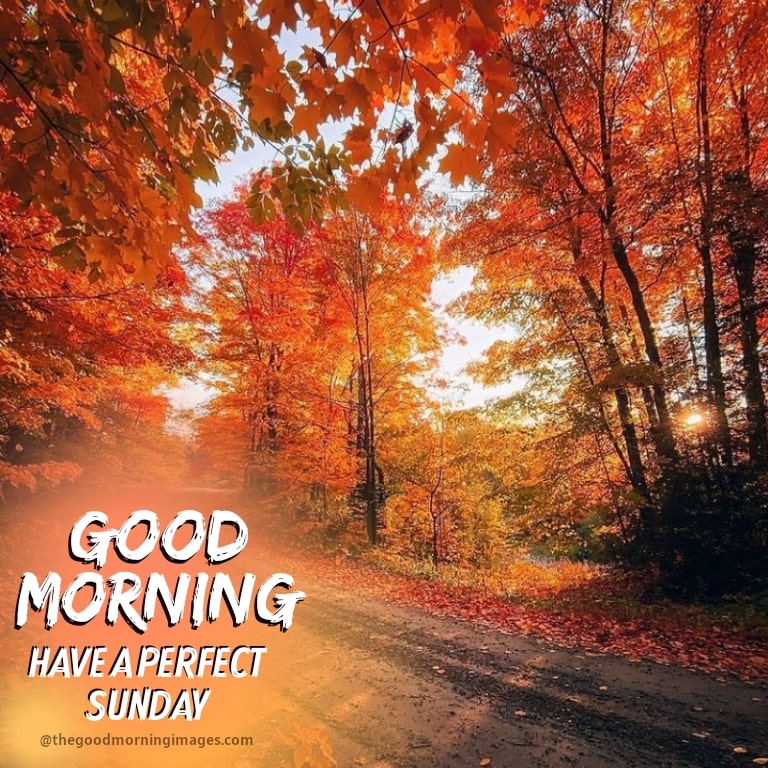 good morning fall images sunday