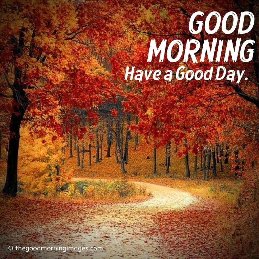 Beautiful Good Morning Fall Images Pictures Photos 2021 