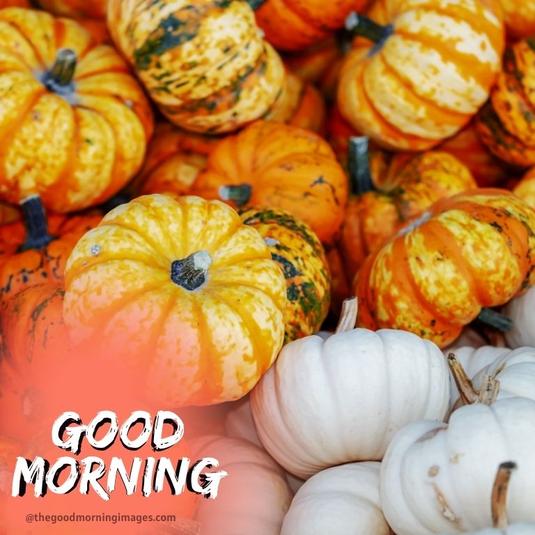 good morning fall images with pumpkin