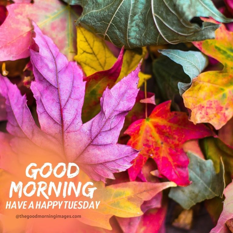 good morning Tuesday fall images