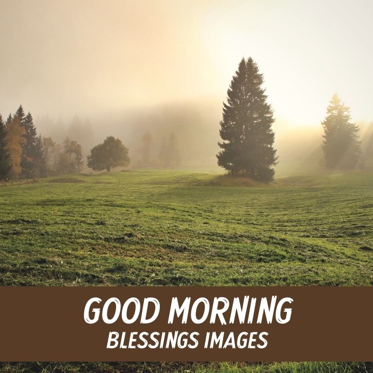 Best Good Morning Blessings Images with Quotes & Wishes