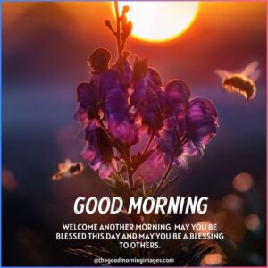 Best Good Morning Blessings Images With Quotes & Wishes