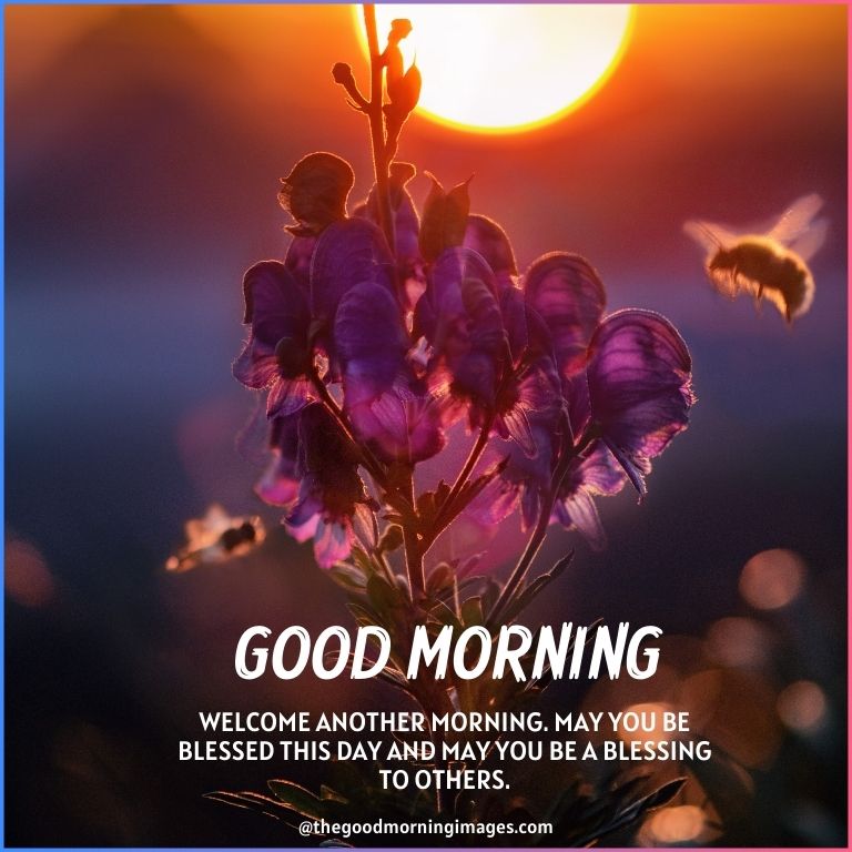 Good Morning Blessings Images