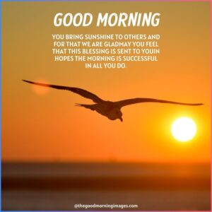 Best Good Morning Blessings Images With Quotes & Wishes