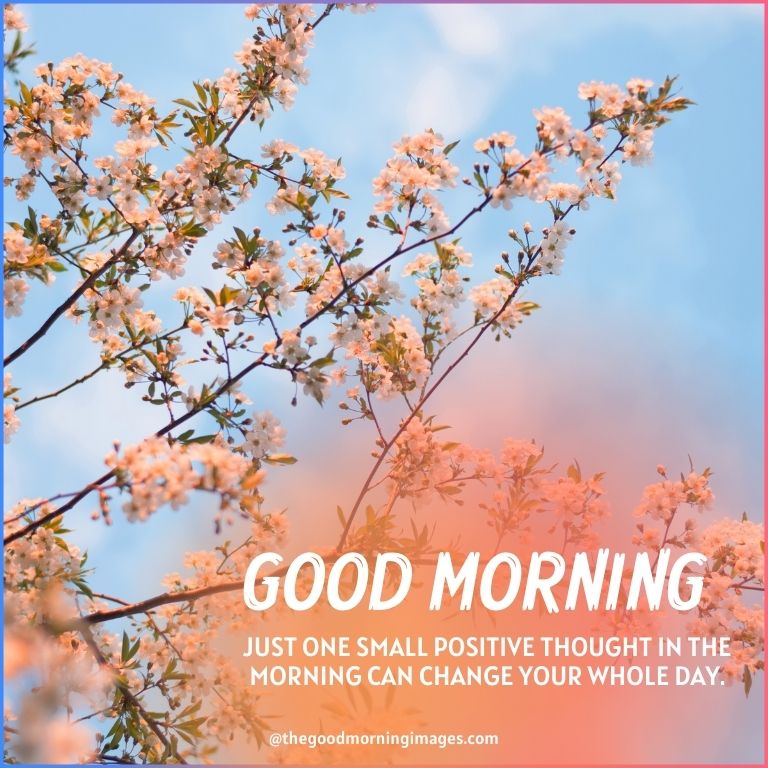 best-good-morning-blessings-images-with-quotes-wishes