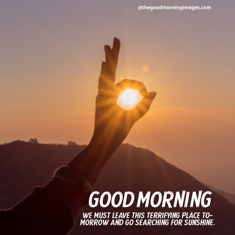 good morning wishes with sunrise pictures