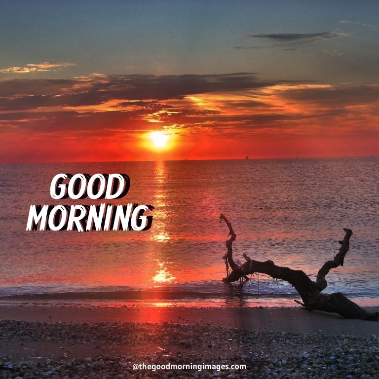 good morning sunrise images water