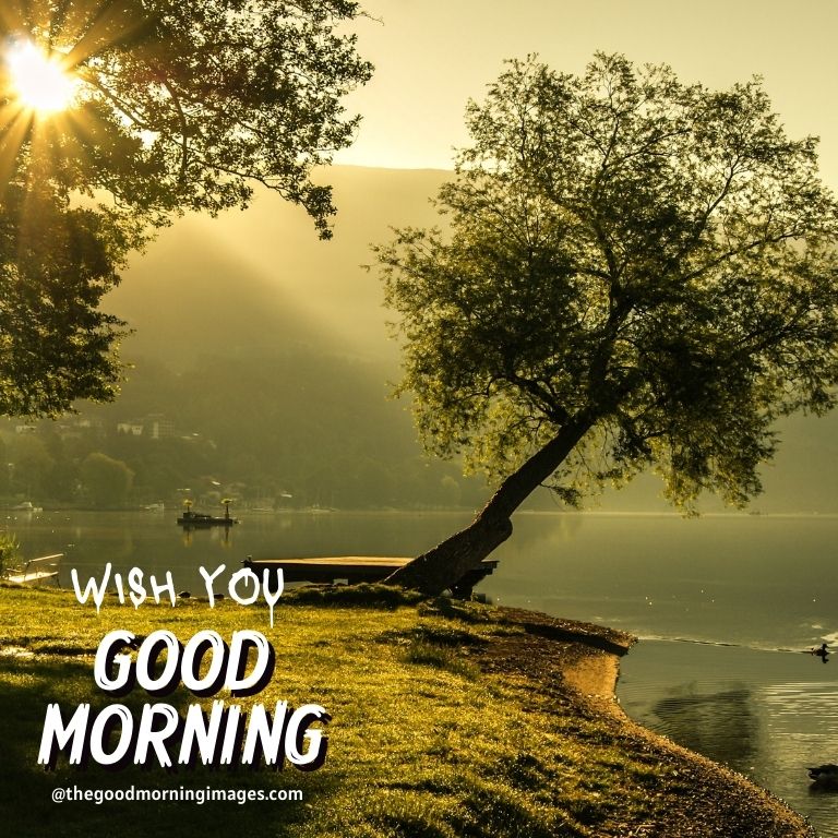 good morning sunrise images