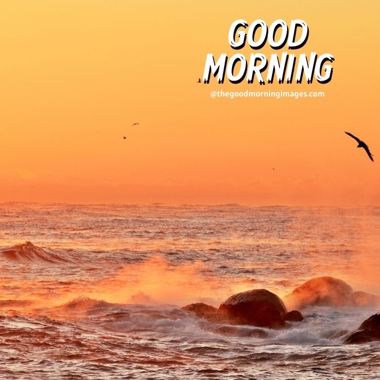 good morning sunrise images