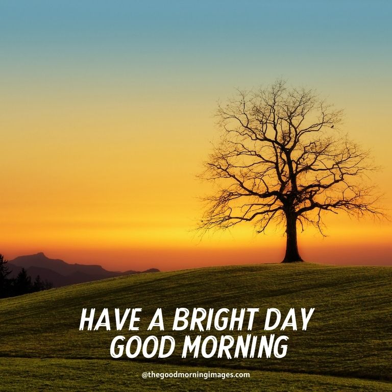 Good morning sunrise images