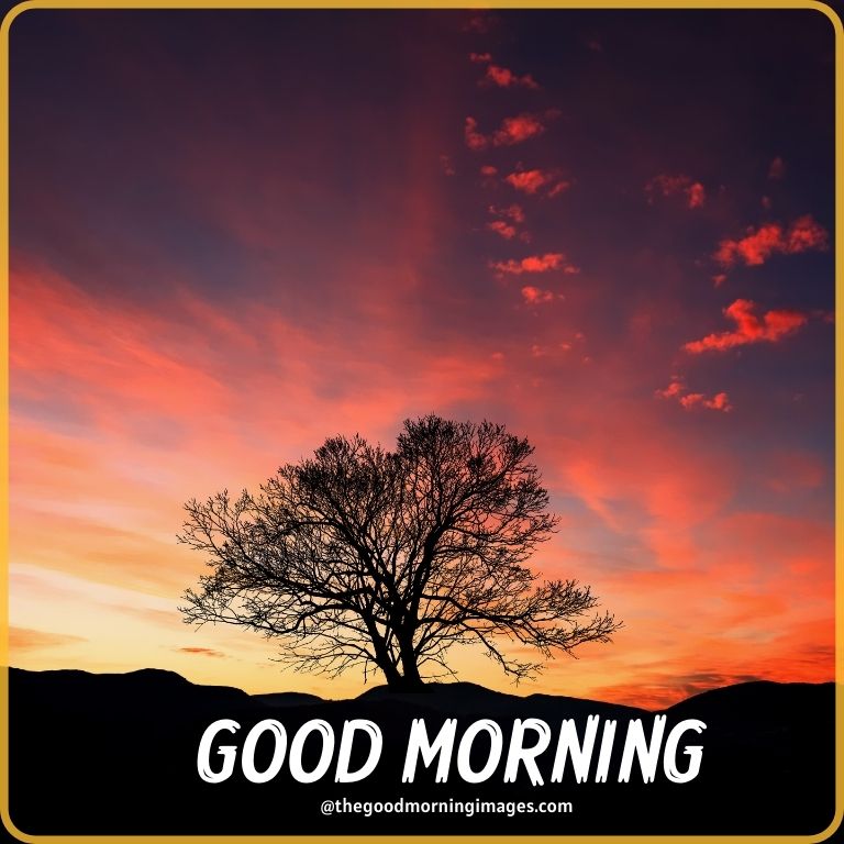 Beautiful Good morning nature sunrise images