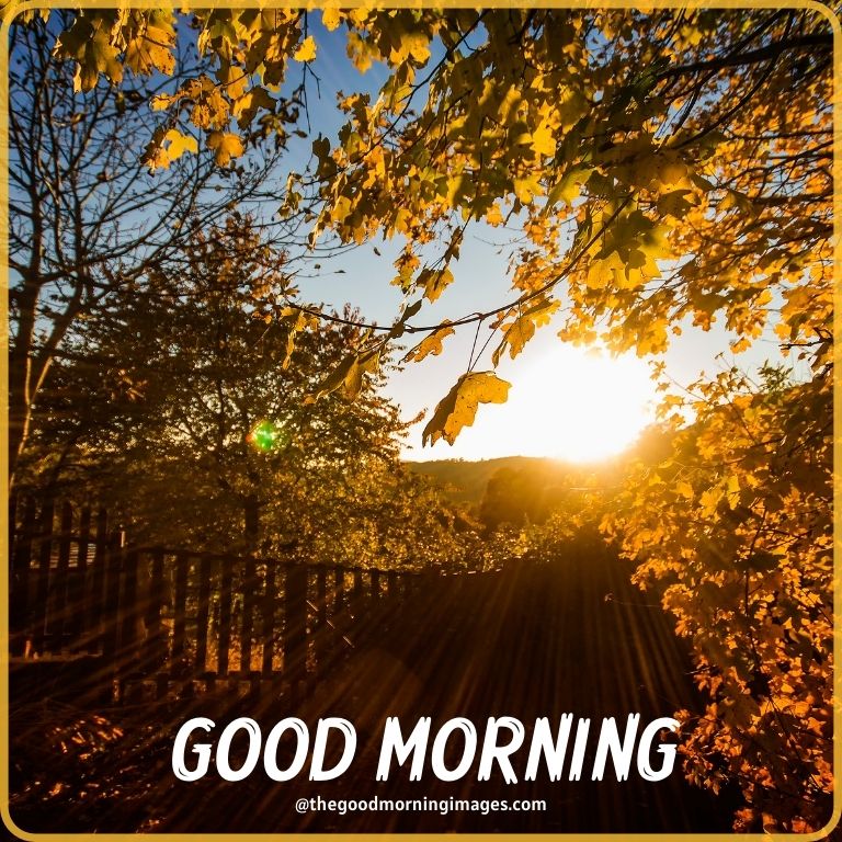sweeet Good morning nature sunrise images