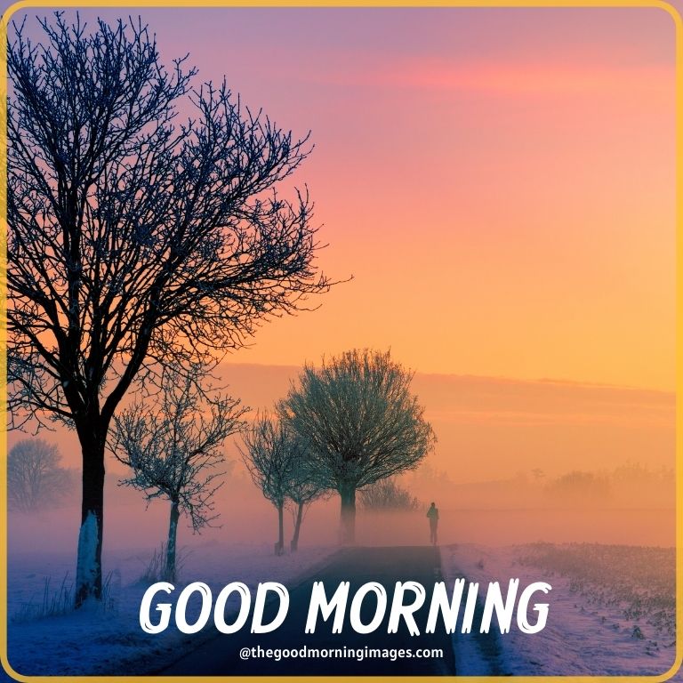 Good morning nature sunrise images