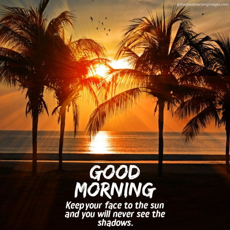 50+ [BEST] Good Morning Sunrise Images, Photos & Wallpaper