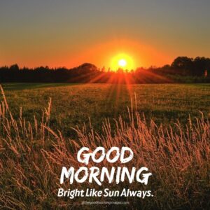 50+ [BEST] Good Morning Sunrise Images, Photos & Pics
