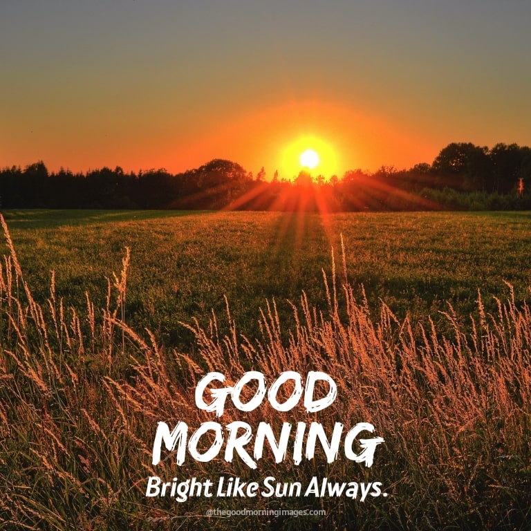 Good morning sunrise images